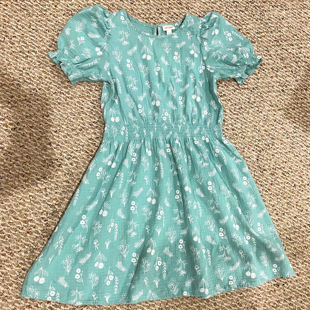 Cat & Jack Girls/Women’s Puff Sleeve Nature Flora Spring Dress